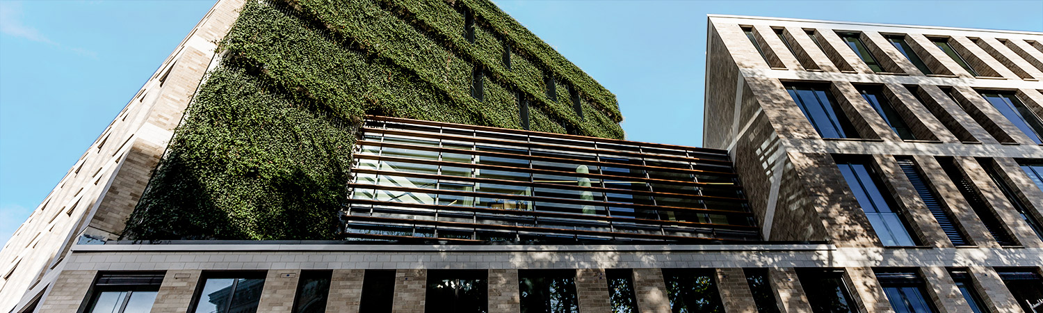 Moderne Bürogebäude mit großen Fenstern; eines davon besticht durch eine markante grüne Wand, die mit Pflanzen bedeckt ist. Der Himmel ist klar und blau, und Sonnenlicht wirft Schatten auf die Gebäudefassaden.
