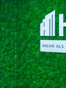 Eine mit grünem Moos bedeckte Wand mit einem teilweise weißen Schild, das stilisierte Buchstaben und die Worte MEHR ALS enthält.